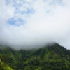 Shimla11_820x318